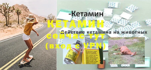 ГАЛЛЮЦИНОГЕННЫЕ ГРИБЫ Горняк
