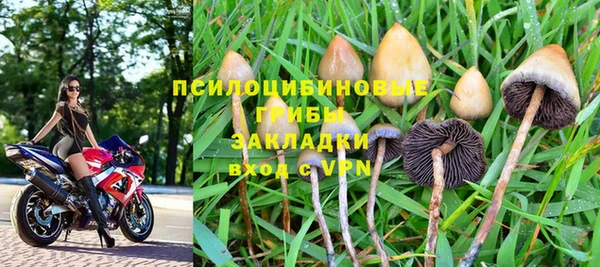 ГАЛЛЮЦИНОГЕННЫЕ ГРИБЫ Горняк