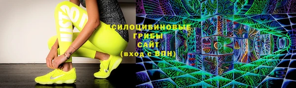 твердый Вязники