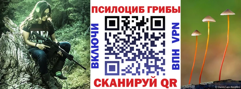 MEGA ТОР  Ершов  Галлюциногенные грибы Psilocybine cubensis 
